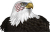 American Flag Bald Eagle Decal for Truck Hood or Tailgate